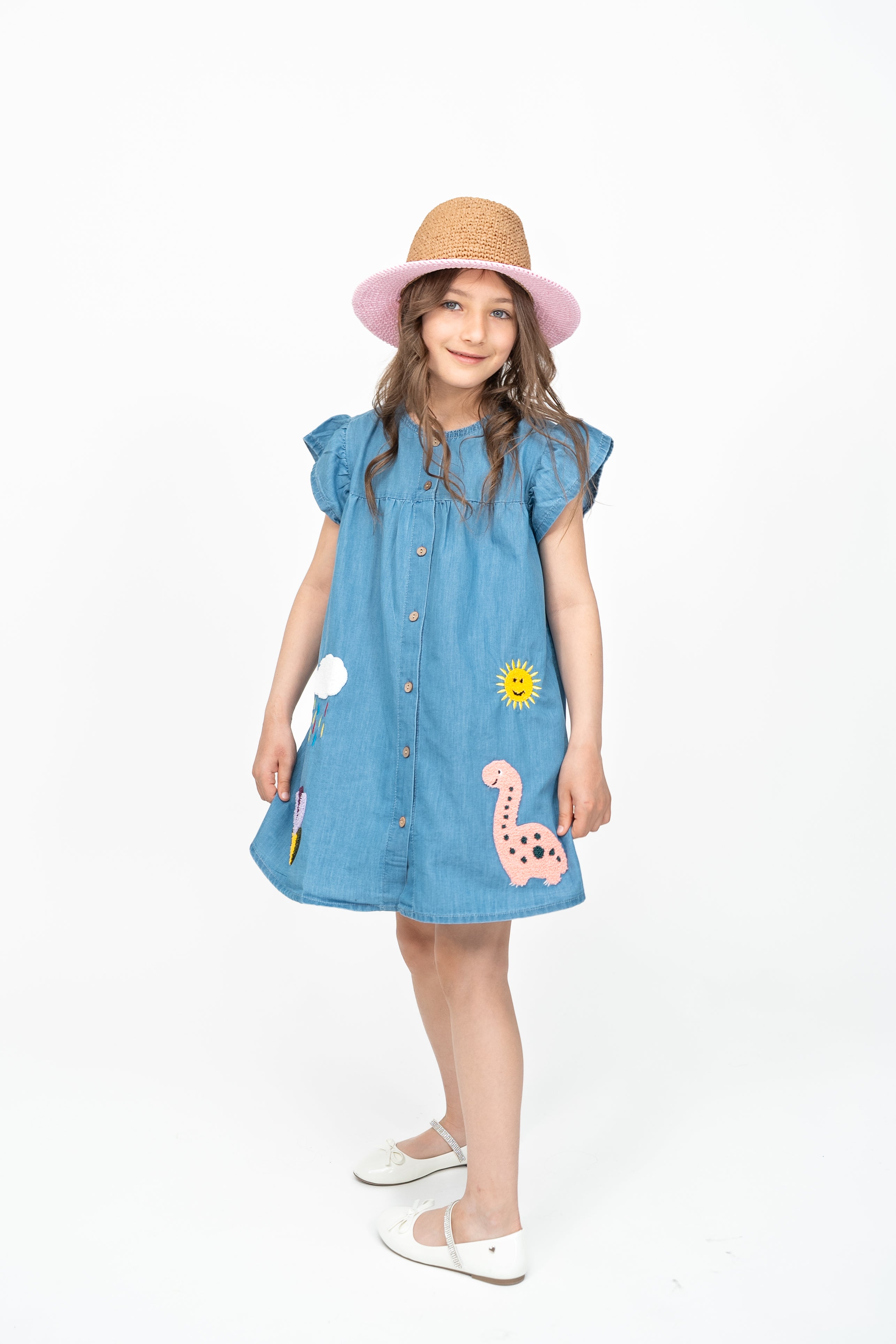 Sunny Dino Denim Dress
