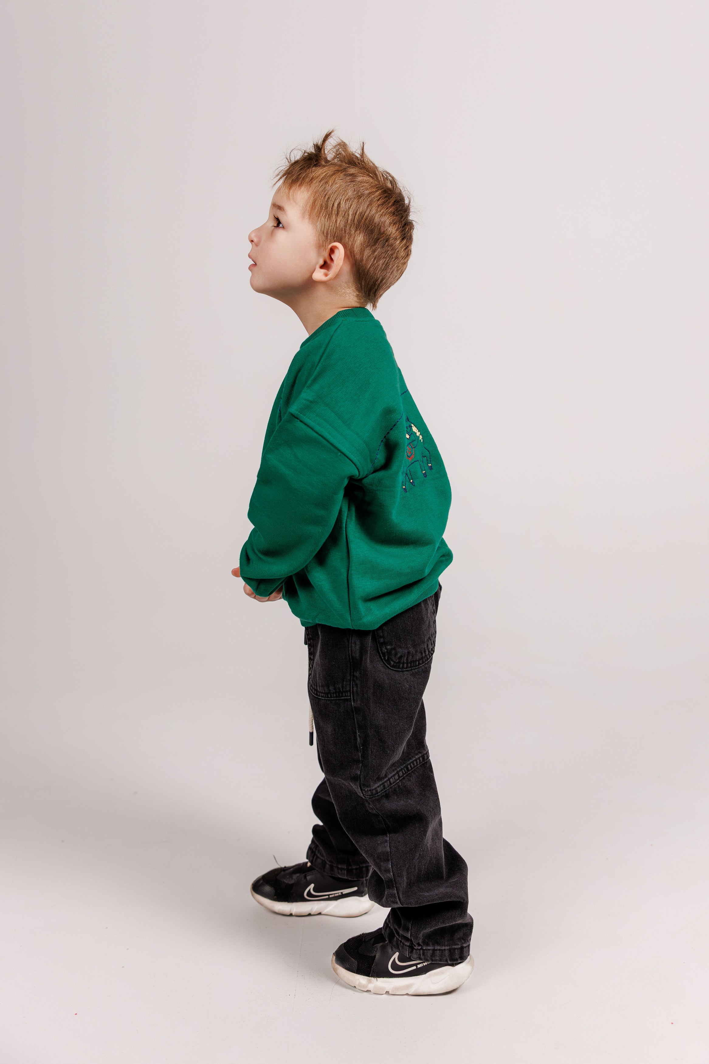 Green Horse Embroidered Sweatshirt